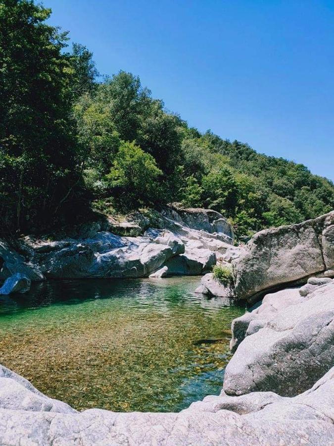 Chambre D'Hote Lavande - Le Soleil Des Cevennes Saint-Jean-du-Gard Exteriör bild
